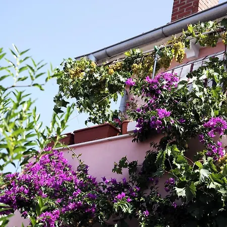 Apartment Apartments By The Sea Mali Losinj