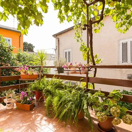 Апартаменты Apartments By The Sea Mali Losinj *